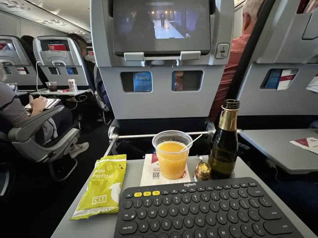 American Airlines B737-800 Main Cabin Extra In Flight