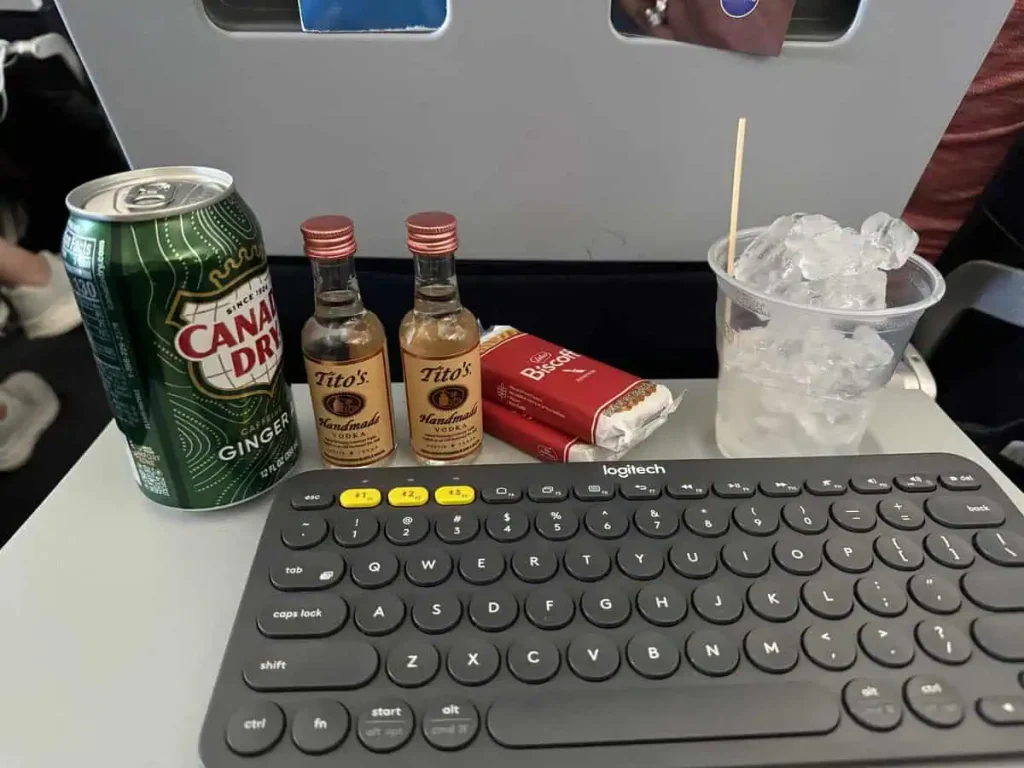 American Airlines B737-800 Main Cabin Extra Vodka Ginger Ale Biscoff