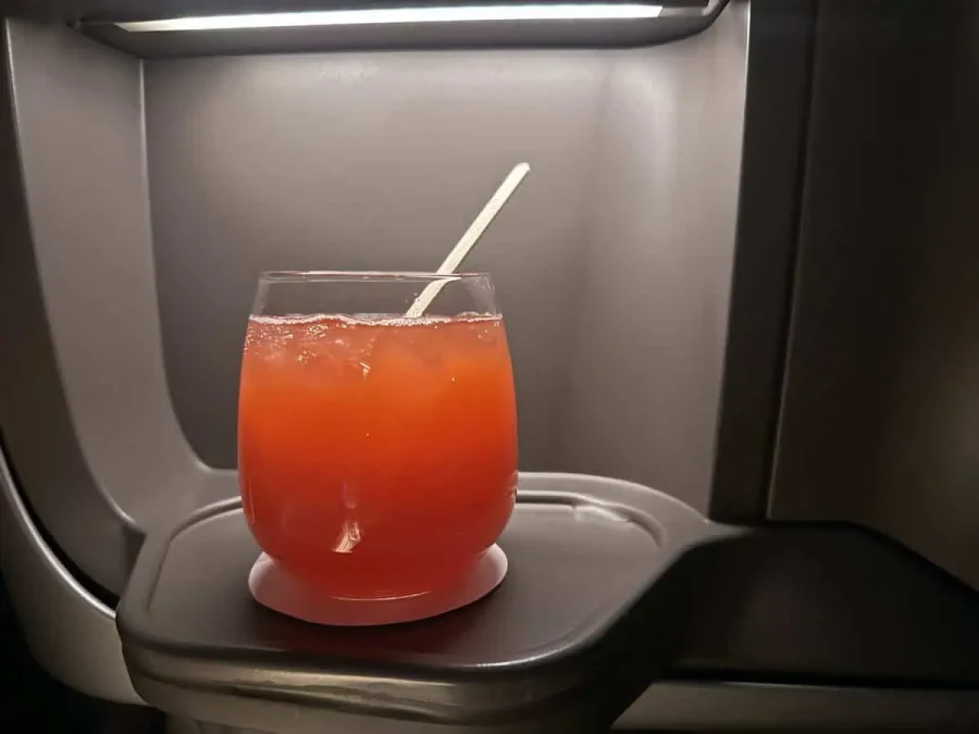 SQ 23 Prearrival-05-Singapore Sling