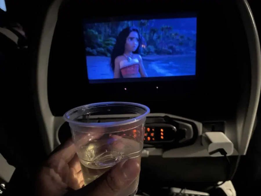 AA_B777-200_Main Cabin Extra_Cruise_01-What I did