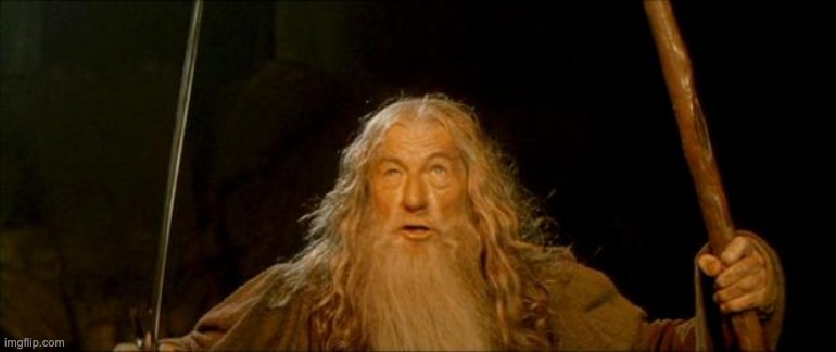 Meme - None Shall Pass, Gandalf