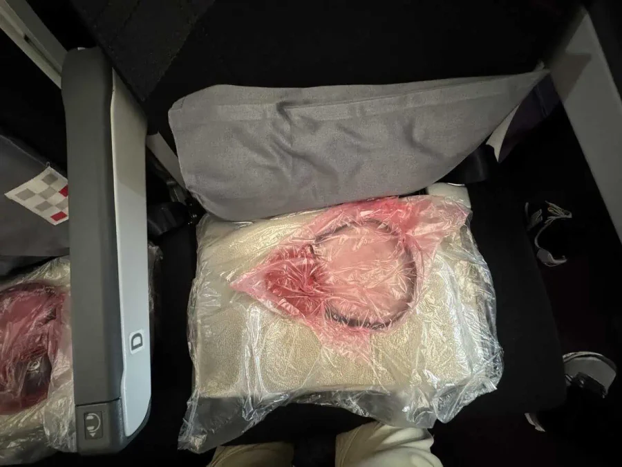 JL_A350-1000_Econ_Seat_02-Amenities