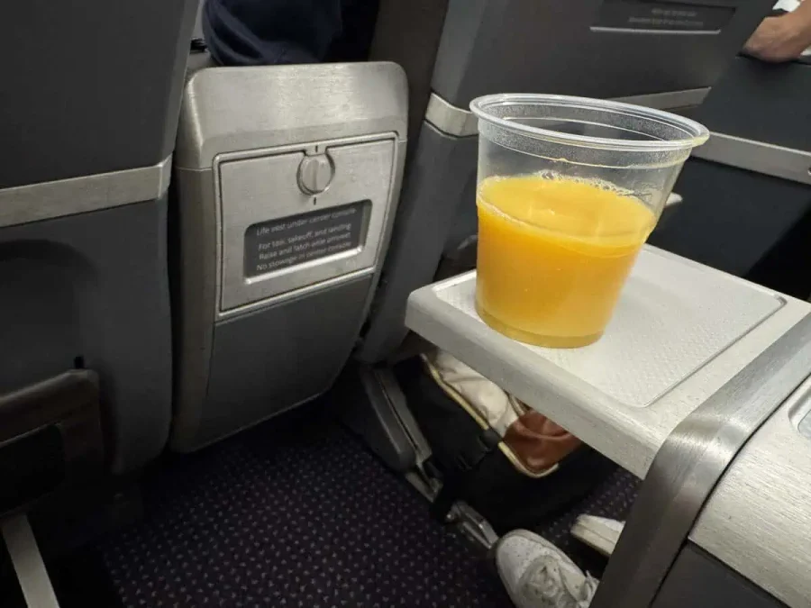04_American Airlines A321 First Class_04_PDB