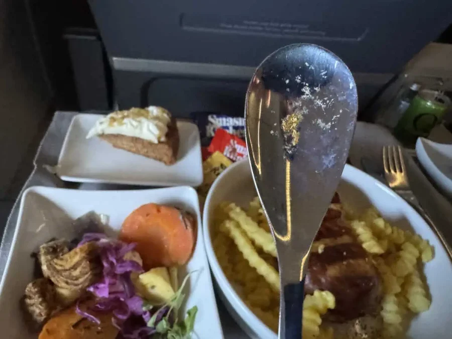 06_American Airlines A321 First Class Food_04_Dirty Spoon